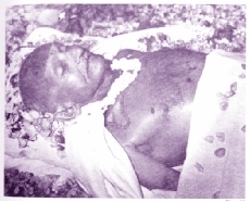 cover-gandhi.jpg