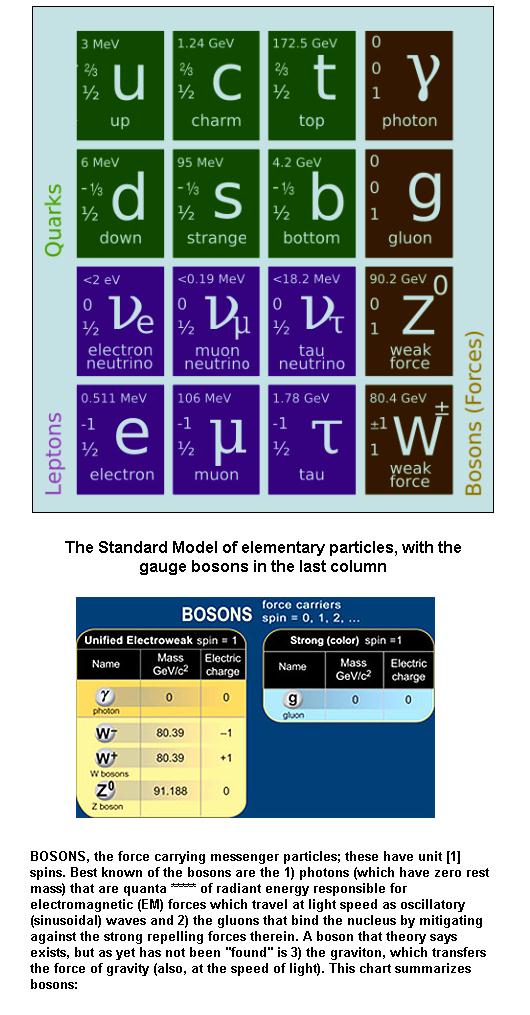 fig-1g-quarks-bosons
