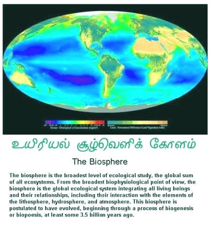 fig-1a-the-earths-biosphere1 fig-1a-the-earths-biosphere1