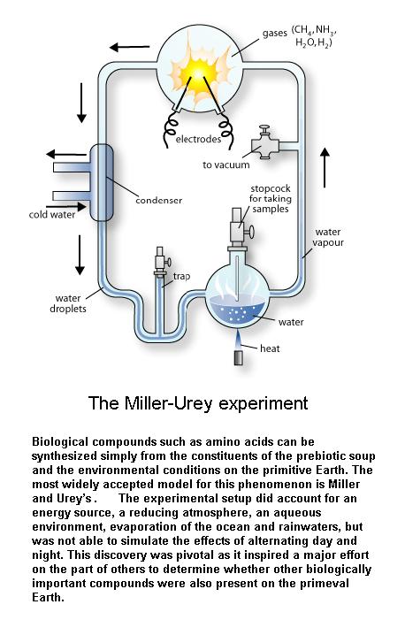 fig-1c-the-miller-urey-experiment