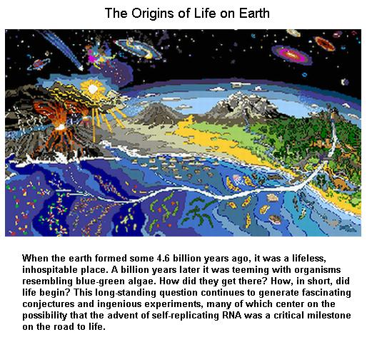 the-origins-of-life the-origins-of-life