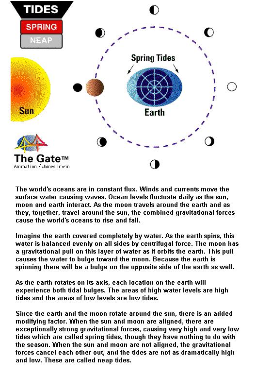 fig-1c-spring-tides fig-1c-spring-tides