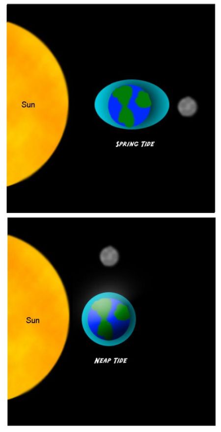fig-4-spring-tide-neap-tide