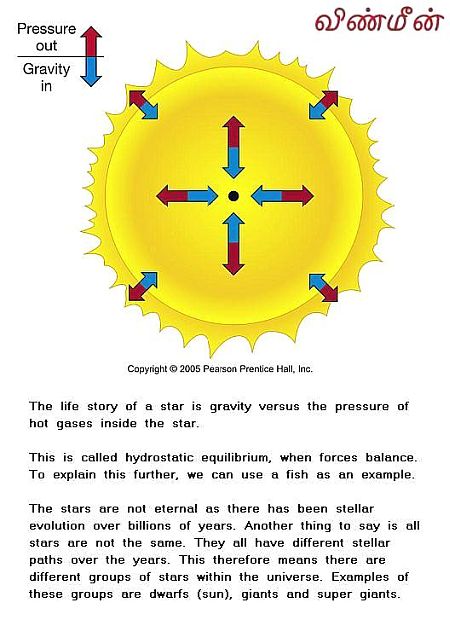 Fig 1B Pressure & Gravity of Gases in Star Fig 1B Pressure & Gravity of Gases in Star