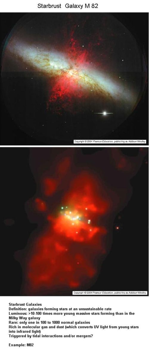 Fig 1E Starburst Galaxy Fig 1E Starburst Galaxy