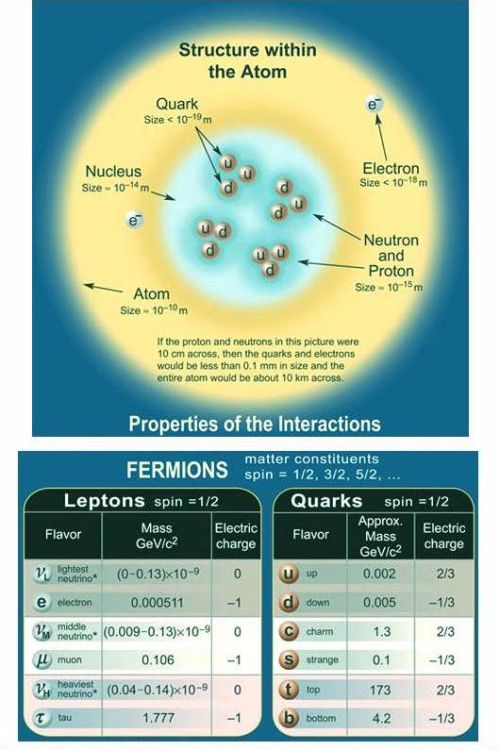 Fig 1G Fermions Fig 1G Fermions