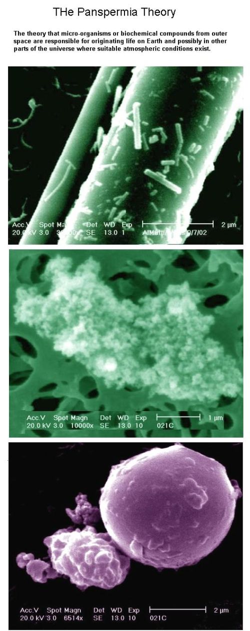 Fig 1E Panspermia Fig 1E Panspermia