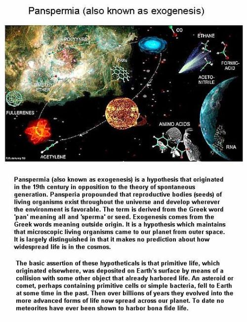 Fig 8 Details of Panspermia Fig 8 Details of Panspermia