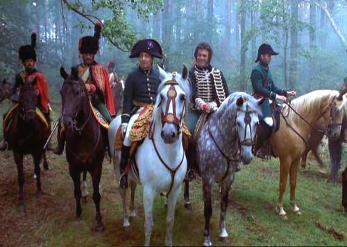 Fig 2 Napoleon with his men