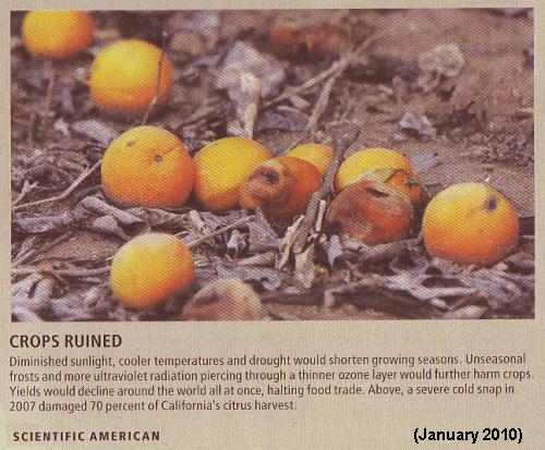 Fig 3 Ruined Crops