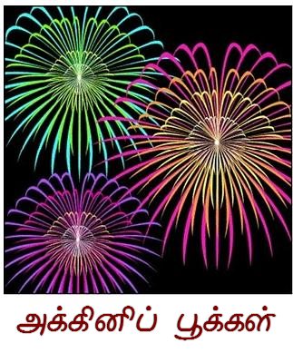 Akkini Pookkal