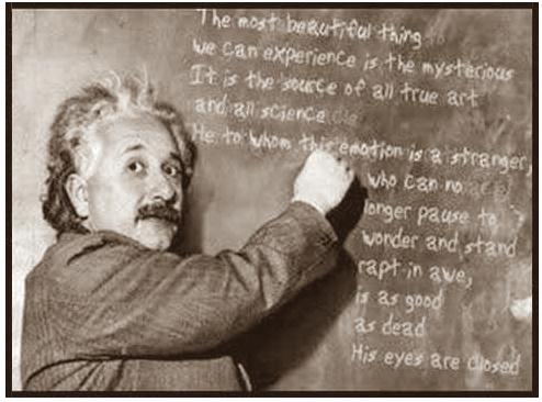 Fig 1B Albert Einstein