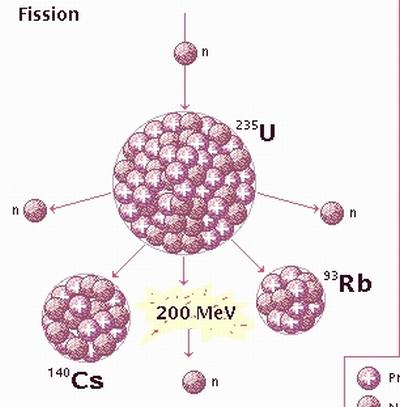 Fig 2A Fission Process