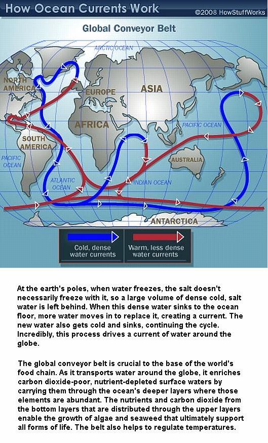 Fig 5 Ocean Currents Convey Foods