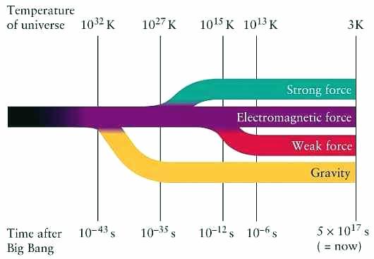 THe Four Forces of the Universe