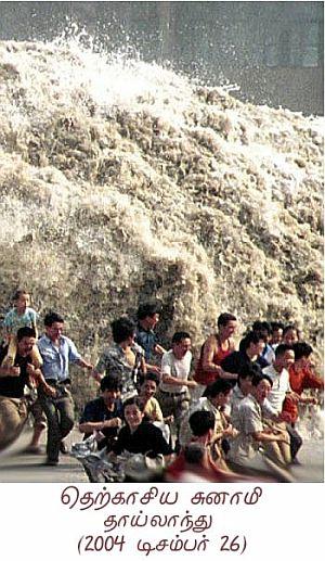 Cover Image Tsunami -1