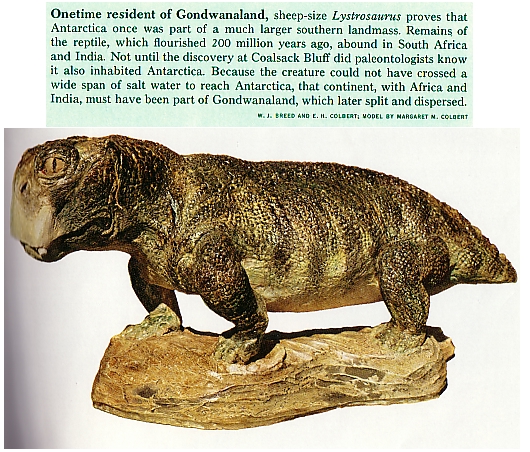 Fig 5 Gondwanaland Animal