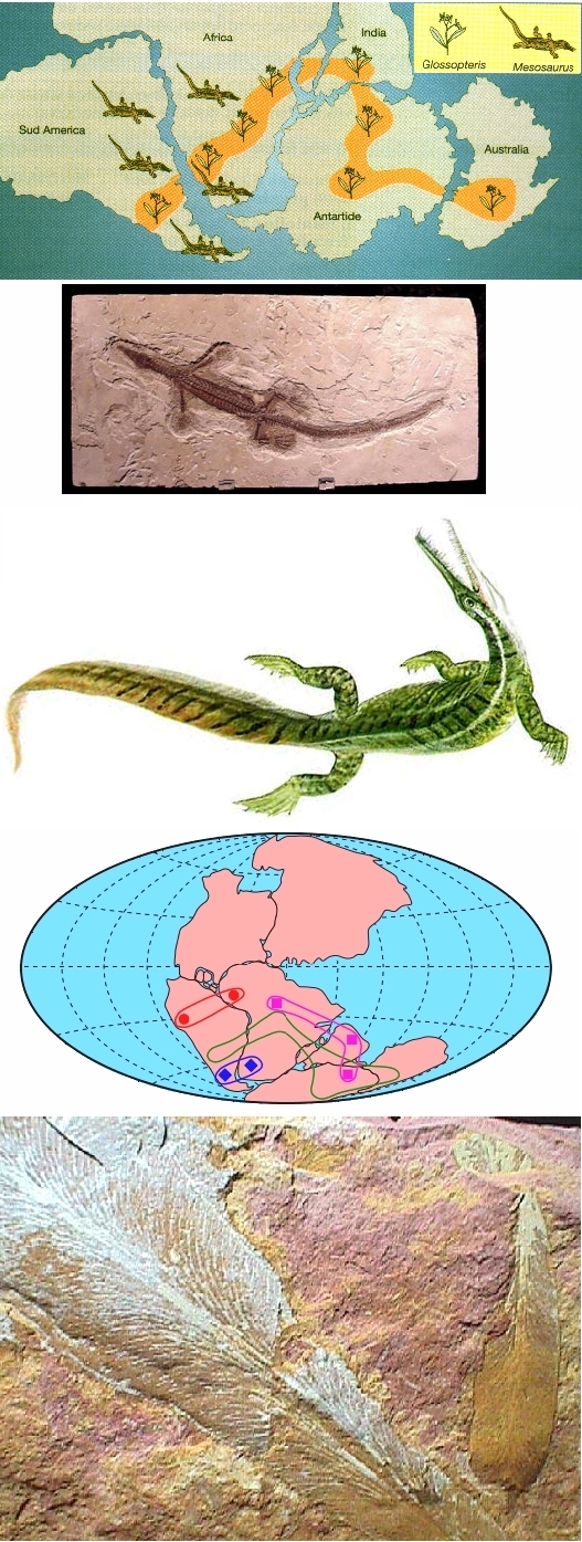 Fig 5 GondwanaLand Samples