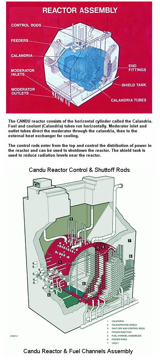 Fig 8 Reactor Vessel & Control Rods