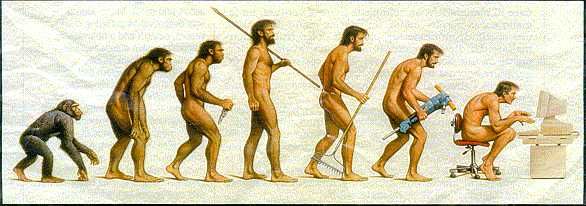 Monkey to Man