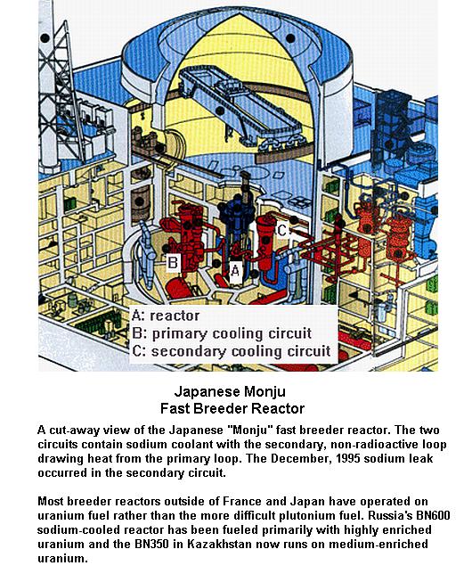 Fig 1D Japan Monju FBTR
