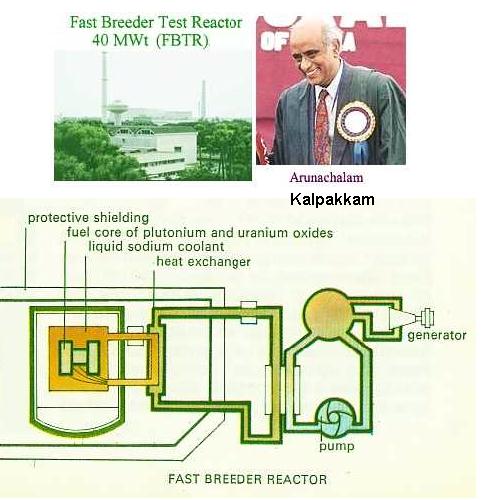 Fig 1F Arunachalam