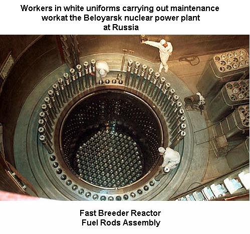 Fig 6 Fuel Rods in the Reactor