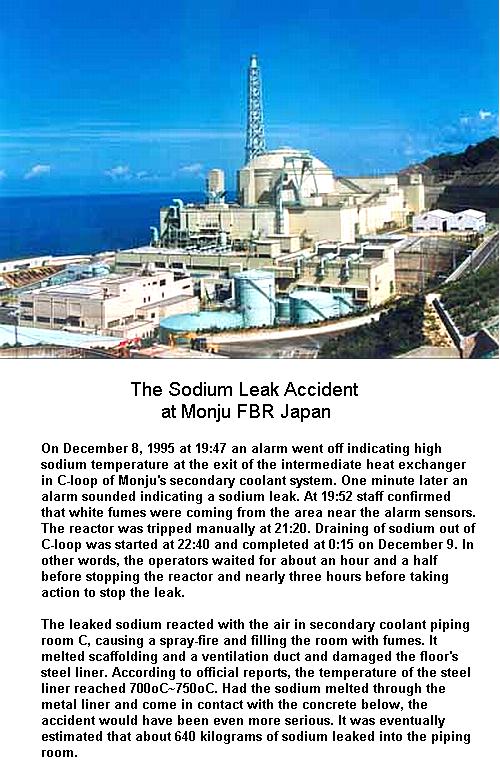 Fig 9 Sodium Leak at Monju