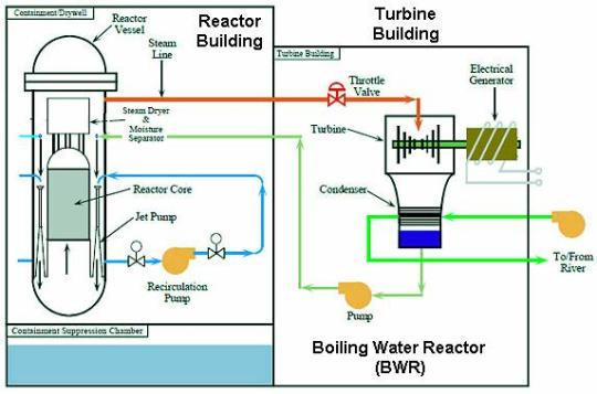 BWR Schematic