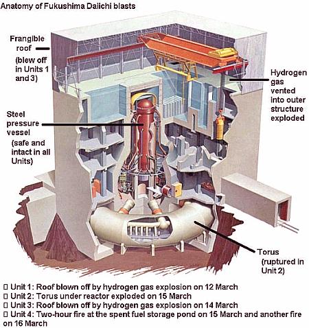 Fig 1 Anatomy of Fukushima Reactor Damage