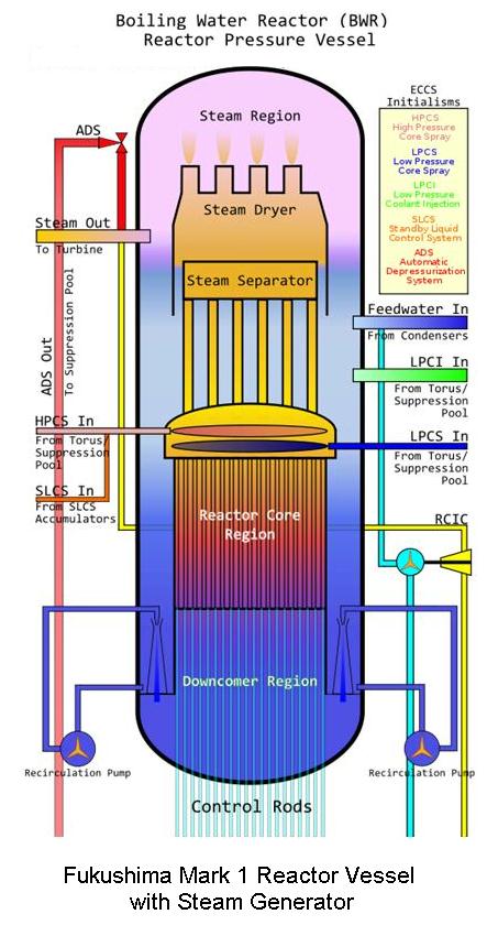 Fig 10 BWR Mark 1 Reactor Vessel