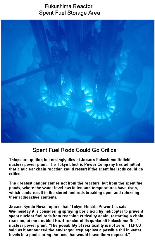 Fig 1E Spent Fuel Storage Bay