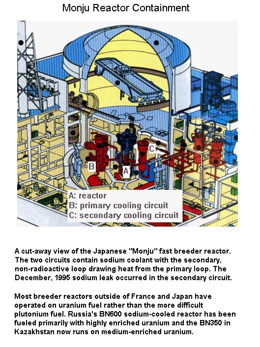 Monju Reactor Containment