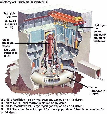 Fig 1 Anatomy of Fukushima Reactor Damage
