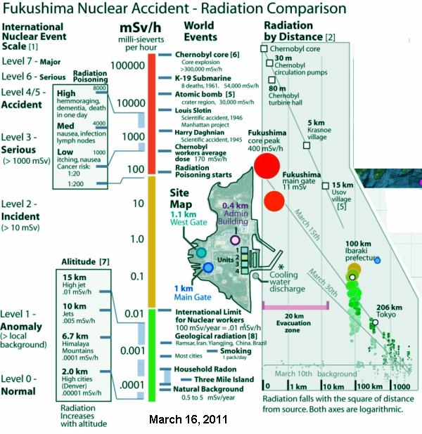 Fig 11 Radiation Comparison -2