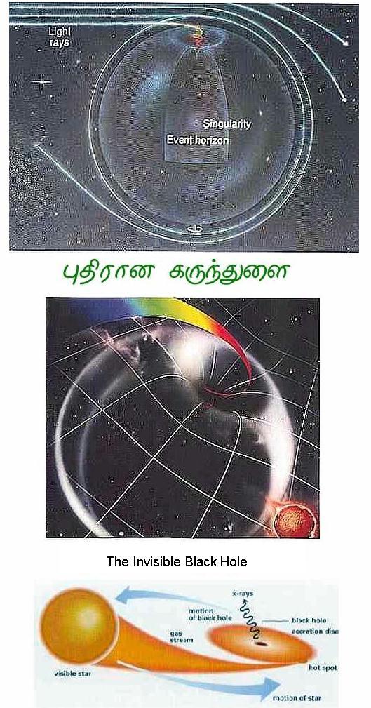Black Holes