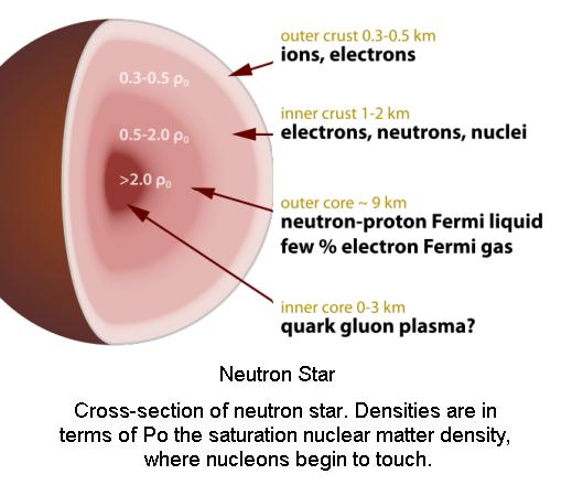 Cross Section of Neutron Star