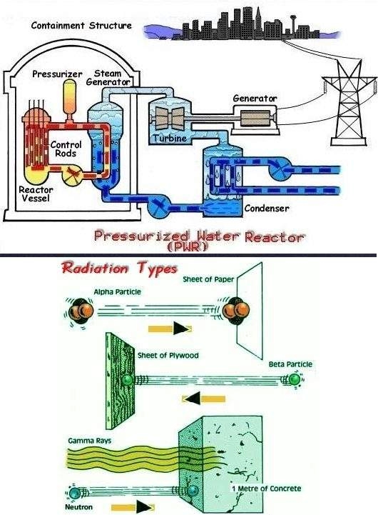 Fig Reactor & Radiation
