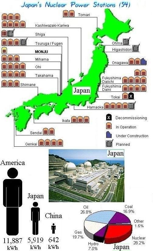 Fig Japan Reactors