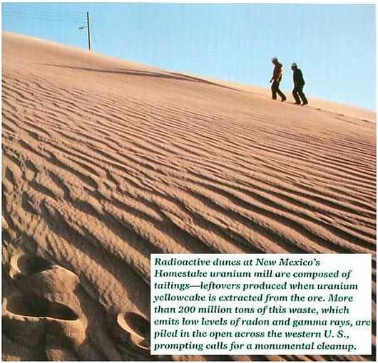 New Mexico Uranium Mill Wastes