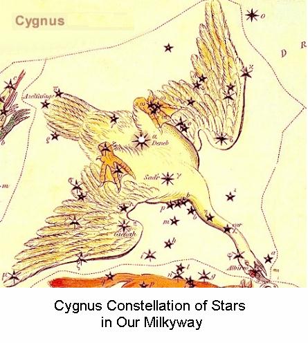 Cygnus