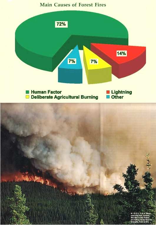 Fig 4 Huge Forest Fires