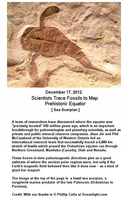 Fossil Sea Scorpian