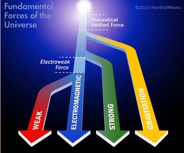 Four fundamental forces