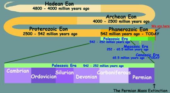 Ordovician period -1