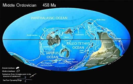 Ordovician period