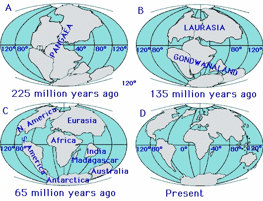 Fig Continents Drifts