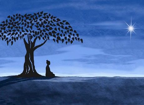 Bodhi tree