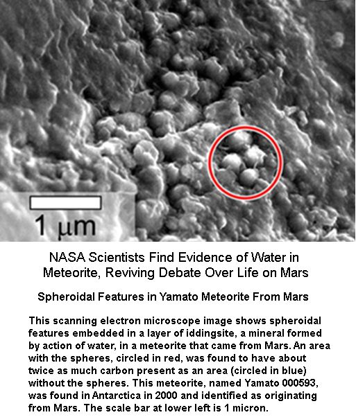 Spheroidal Features in Yamato Meteorite From Mars