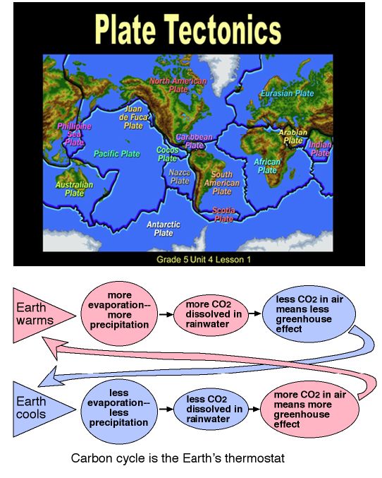 Carbon Cycle in the Earth